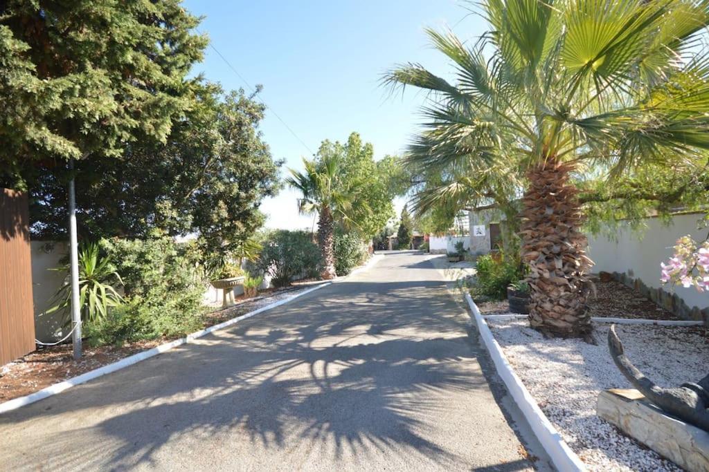 Vila Casas Paqui Y Pablo Con Piscina Compartida En Conil Conil De La Frontera Exteriér fotografie